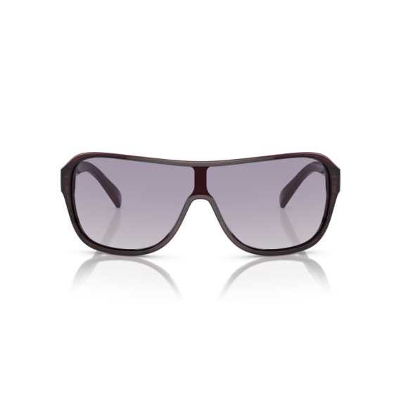 Ralph Lauren RL 8214U 605279 Güneş Gözlüğü, Resim 7