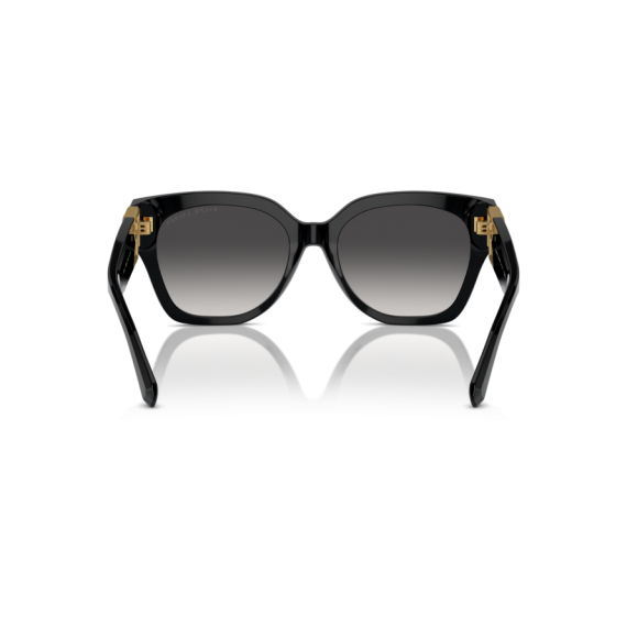 Ralph Lauren RL 8221 50018G Güneş Gözlüğü, Resim 5