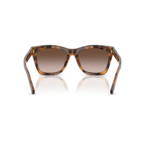 Ralph Lauren RL 8235U 608913 Güneş Gözlüğü, Resim 5