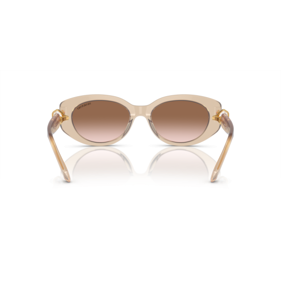 Swarovski SK 6002 103413 Güneş Gözlüğü, Resim 4