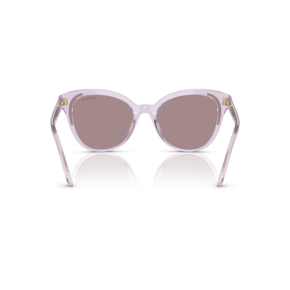Swarovski SK 6031 1079LA Güneş Gözlüğü, Resim 5