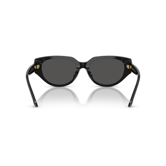 Swarovski SK 6035D 100187 Güneş Gözlüğü, Resim 5