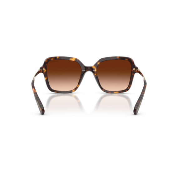 Swarovski SK 6040 100274 Güneş Gözlüğü, Resim 5