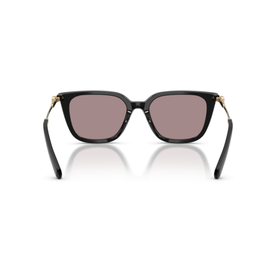 Swarovski SK 6054D 1001LA Güneş Gözlüğü, Resim 5