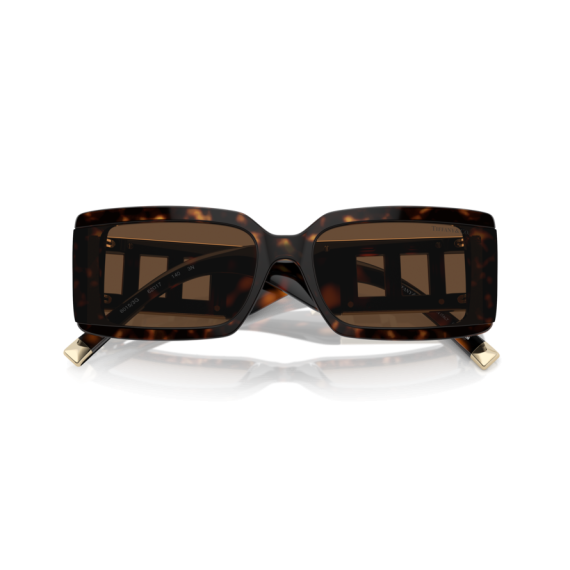 Tiffany TF 4197 80153G Güneş Gözlüğü, Resim 9