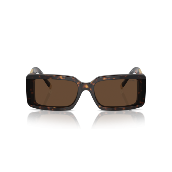 Tiffany TF 4197 80153G Güneş Gözlüğü, Resim 7