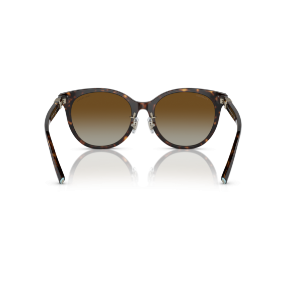 Tiffany TF 4209D 8015T5 Güneş Gözlüğü, Resim 5