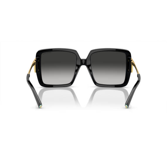 Tiffany TF 4212U 80013C Güneş Gözlüğü, Resim 5