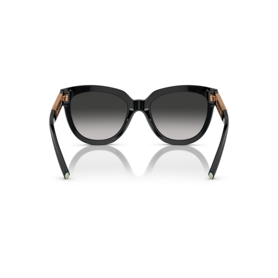 Tiffany TF 4215 80013C Güneş Gözlüğü, Resim 5