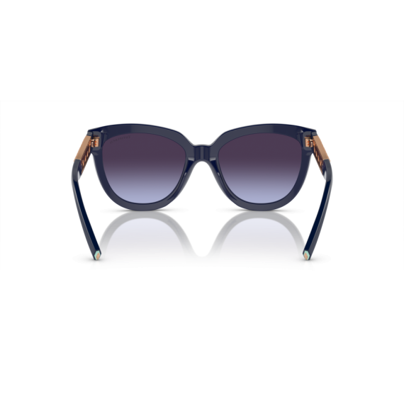 Tiffany TF 4215 83964Q Güneş Gözlüğü, Resim 5