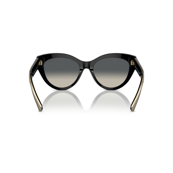 Tiffany TF 4220 800171 Güneş Gözlüğü, Resim 5