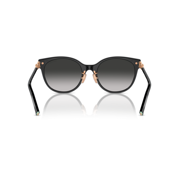 Tiffany TF 4223D 80013C Güneş Gözlüğü, Resim 5