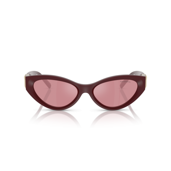 Tiffany TF 4225U 838930 Güneş Gözlüğü, Resim 7