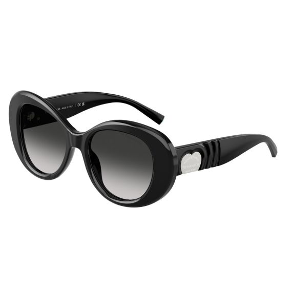 Tiffany TF 4228 80013C Güneş Gözlüğü, Resim 11