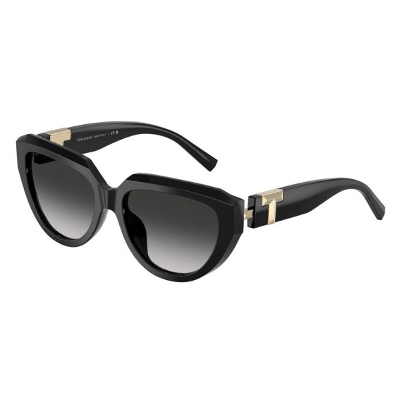 Tiffany TF 4238U 80013C Güneş Gözlüğü, Resim 11