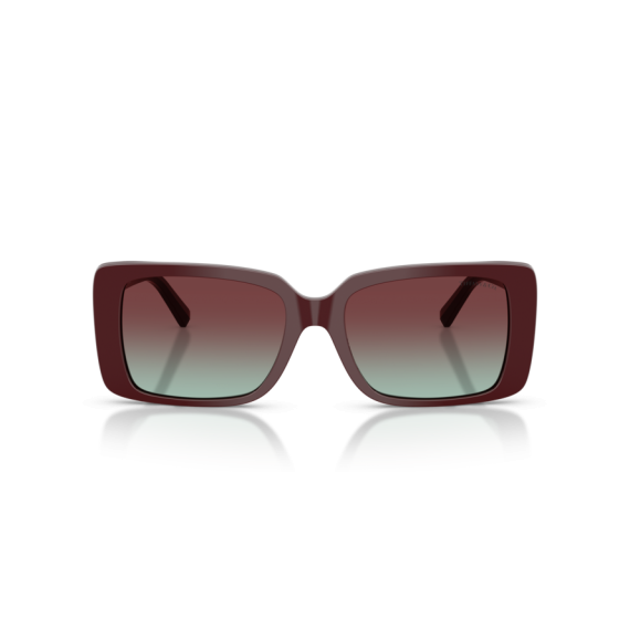 Tiffany TF 4249 8389V5 Güneş Gözlüğü, Resim 7