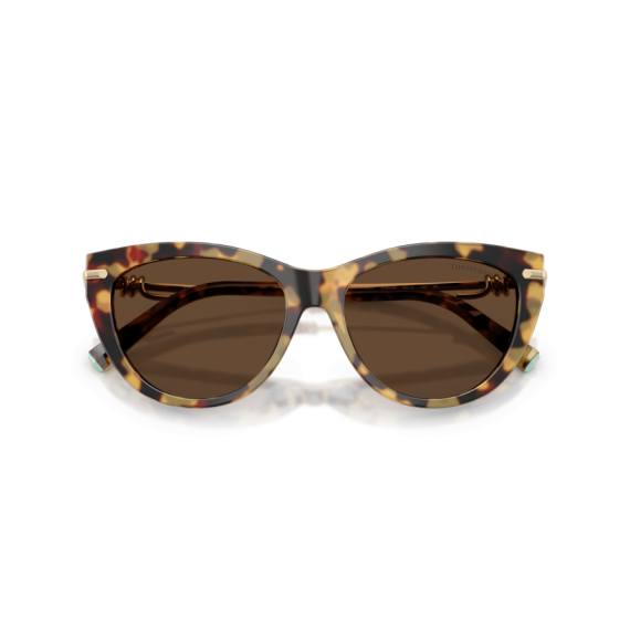 Tiffany TF 4253 80643G Güneş Gözlüğü, Resim 9