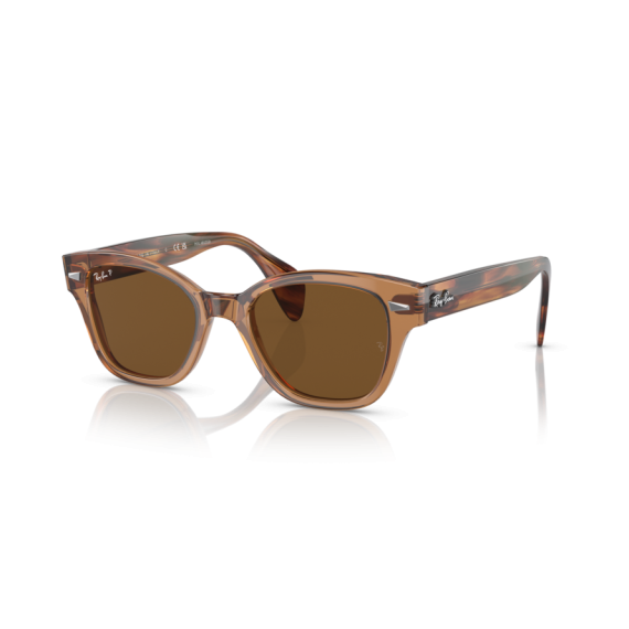 Ray-Ban RB 0880S 664057 Güneş Gözlüğü