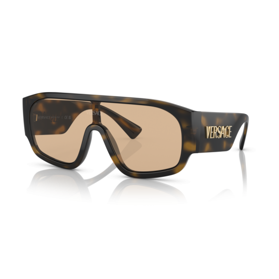 Versace VE 4439 108/73 Güneş Gözlüğü