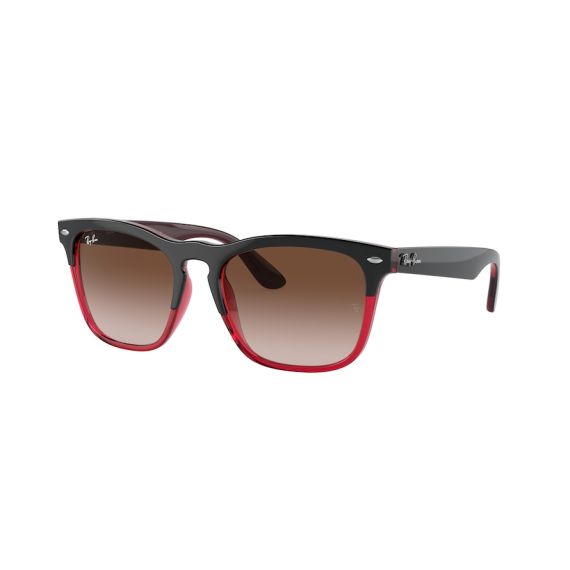 Ray-Ban RB 4487 663113 Güneş Gözlüğü