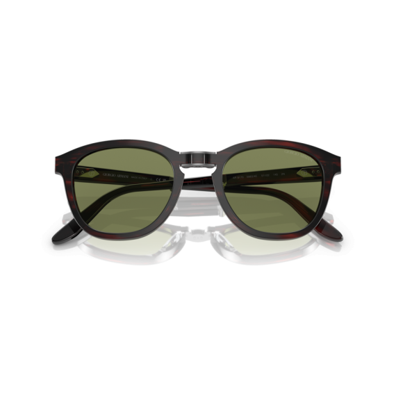 Giorgio Armani AR 8170 59634E Güneş Gözlüğü, Resim 5
