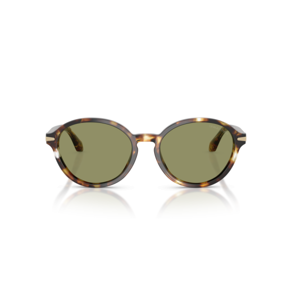Giorgio Armani AR 8237 623214 Güneş Gözlüğü, Resim 4