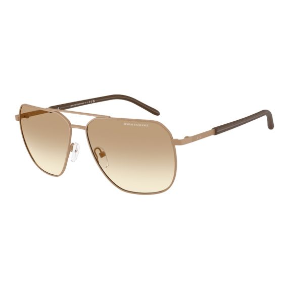 Armani Exchange AX 2057S 612913 Güneş Gözlüğü, Resim 6