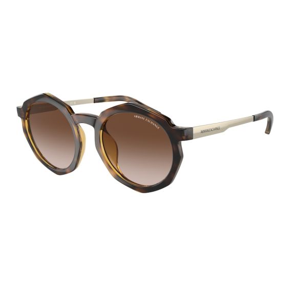Armani Exchange AX 4132SU 821313 Güneş Gözlüğü, Resim 6