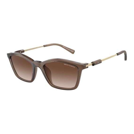 Armani Exchange AX 4146SU 834913 Güneş Gözlüğü, Resim 6