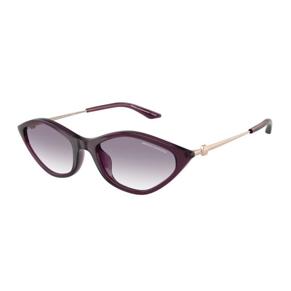 Armani Exchange AX 4152SU 836979 Güneş Gözlüğü, Resim 6