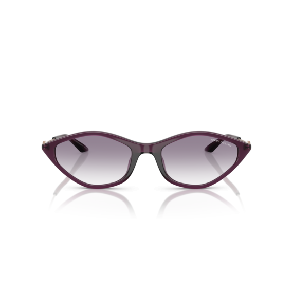 Armani Exchange AX 4152SU 836979 Güneş Gözlüğü, Resim 4