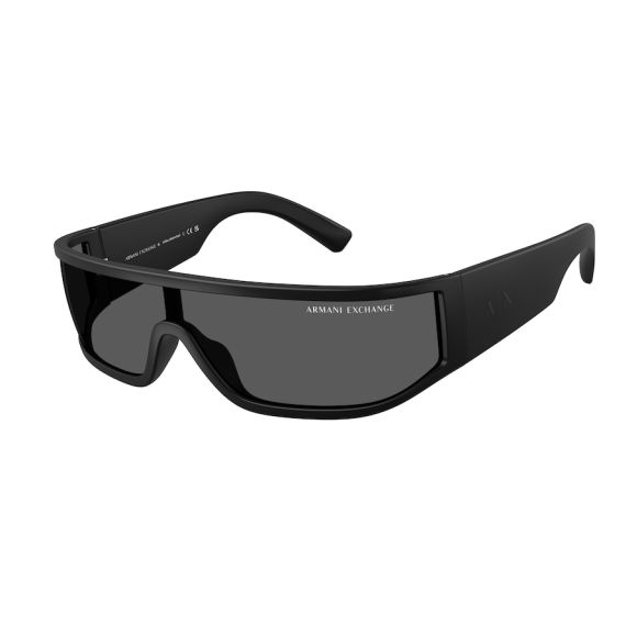 Armani Exchange AX 4153SU 805887 Güneş Gözlüğü, Resim 6
