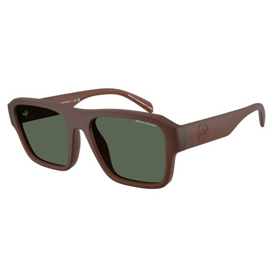 Armani Exchange AX 4154SU 837371 Güneş Gözlüğü, Resim 6