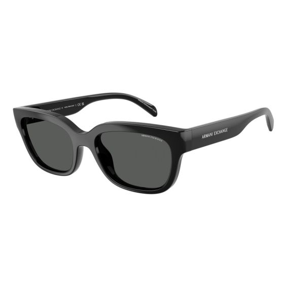Armani Exchange AX 4155SU 815887 Güneş Gözlüğü, Resim 6