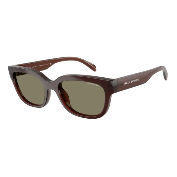 Armani Exchange AX 4155SU 837373 Güneş Gözlüğü, Resim 6