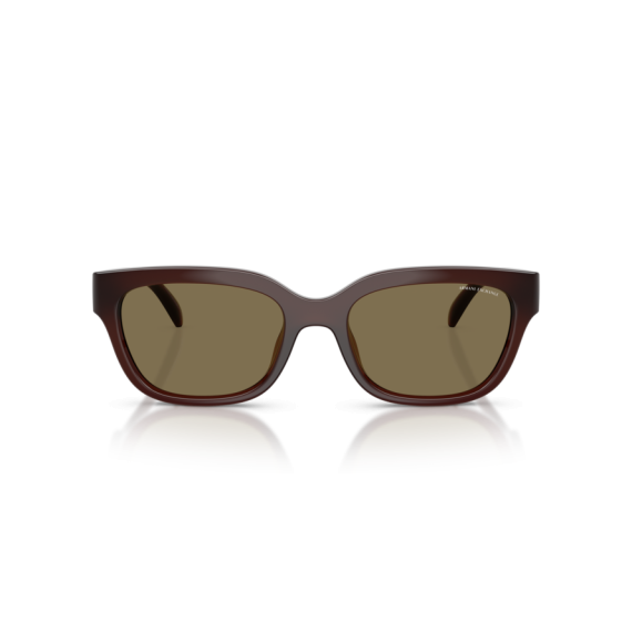 Armani Exchange AX 4155SU 837373 Güneş Gözlüğü, Resim 4