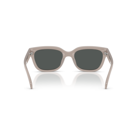 Armani Exchange AX 4155SU 837487 Güneş Gözlüğü, Resim 3