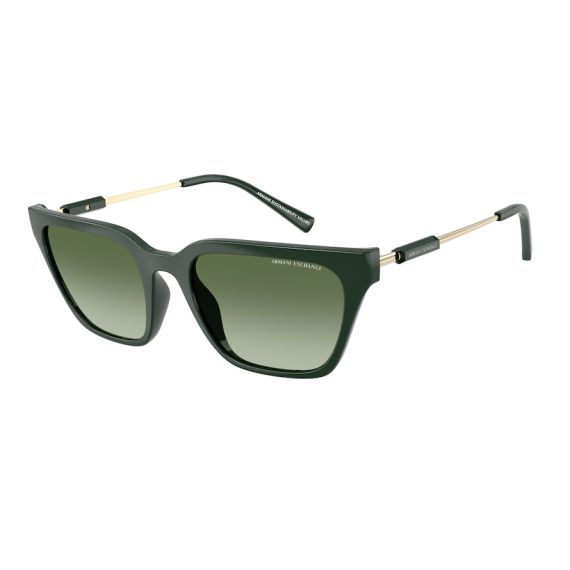 Armani Exchange AX 4158S 83828E Güneş Gözlüğü, Resim 6