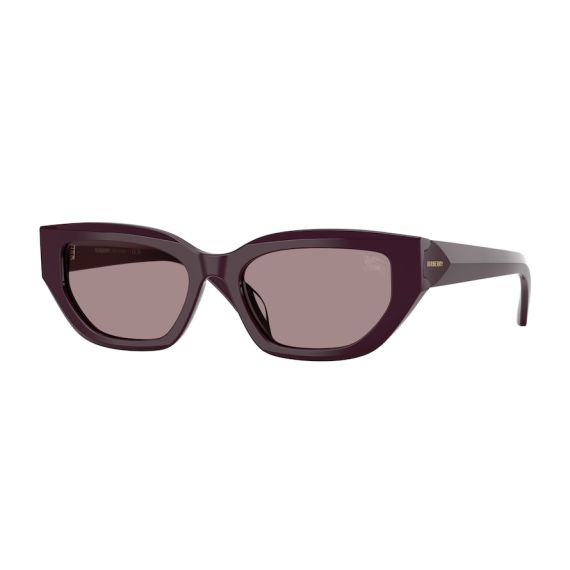 Burberry BE 4463D 3400LA Güneş Gözlüğü, Resim 6