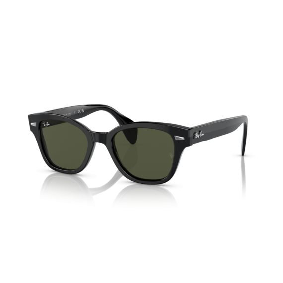 Ray-Ban RB 0880S 901/31 Güneş Gözlüğü
