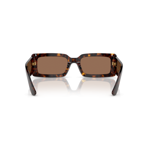 Dolce & Gabbana DG 4416 193573 Güneş Gözlüğü, Resim 3
