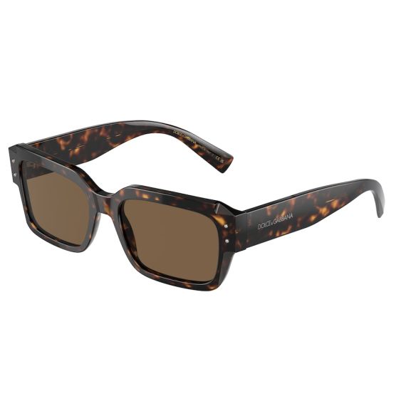 Dolce & Gabbana DG 4460 502/73 Güneş Gözlüğü, Resim 6