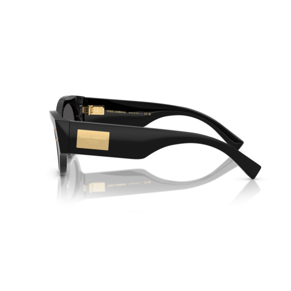 Dolce & Gabbana DG 4480 501/87 Güneş Gözlüğü, Resim 2