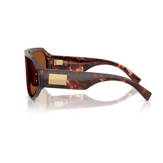 Dolce & Gabbana DG 4481 322273 Güneş Gözlüğü, Resim 2
