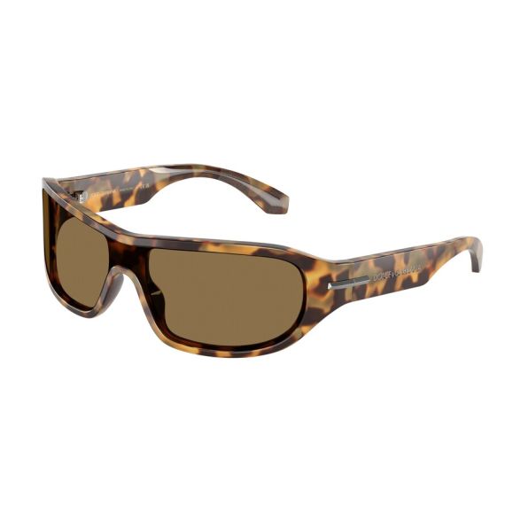 Dolce & Gabbana DG 4486 343773 Güneş Gözlüğü, Resim 6