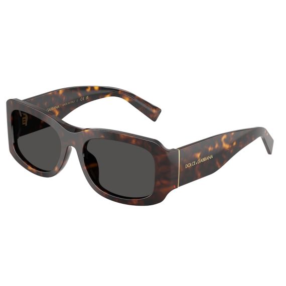 Dolce & Gabbana DG 4503 502/87 Güneş Gözlüğü, Resim 6