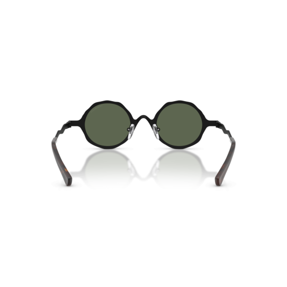 Emporio Armani EA 2166 3001/2 Güneş Gözlüğü, Resim 3