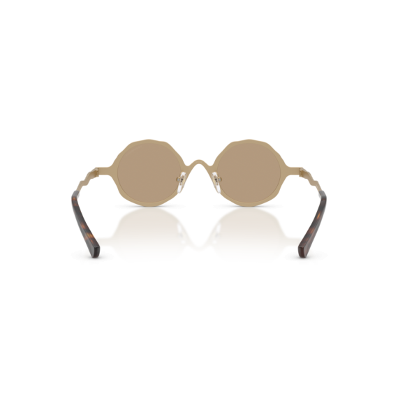 Emporio Armani EA 2166 30027J Güneş Gözlüğü, Resim 3