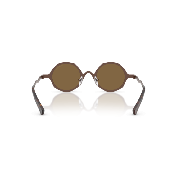Emporio Armani EA 2166 300473 Güneş Gözlüğü, Resim 3