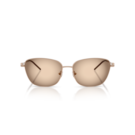 Emporio Armani EA 2170 301113 Güneş Gözlüğü, Resim 4